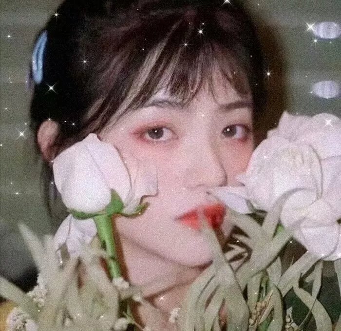 比基尼Go-Go