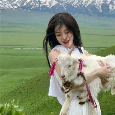 为你摘星拾月